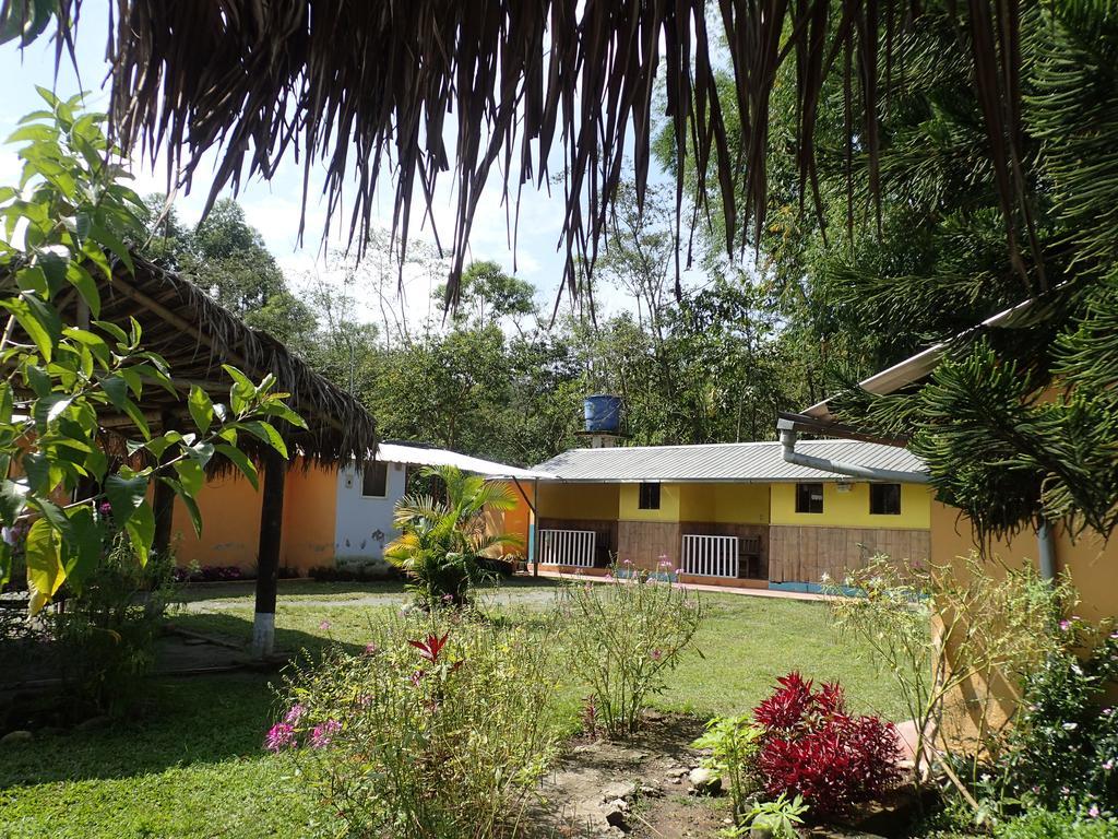 Hostal Henrry'S Otel Mindo Dış mekan fotoğraf